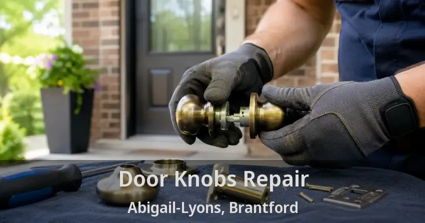 Door Knobs Repair Abigail-Lyons, Brantford - ON