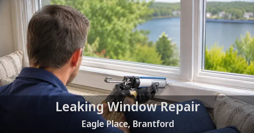 Leaking Window Repair Eagle Place, Brantford - ON