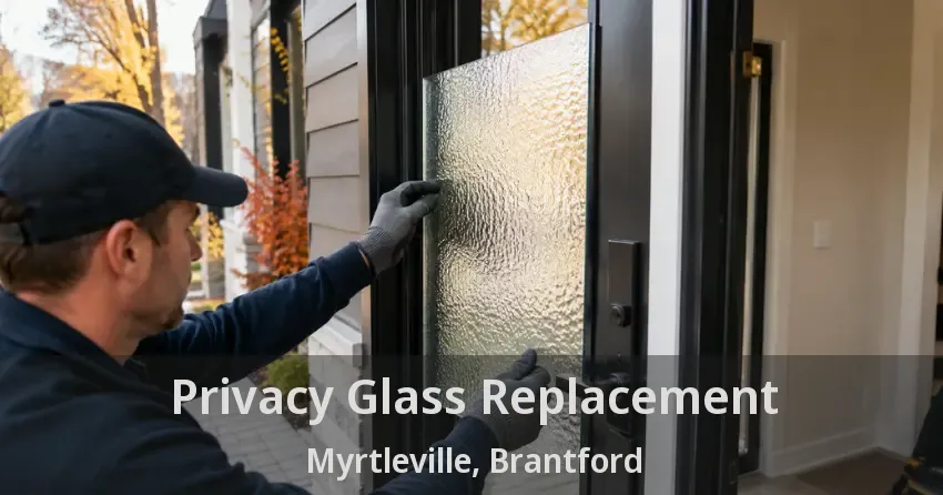 Privacy Glass Replacement Myrtleville, Brantford - ON